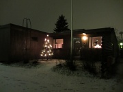 23rd Dec 2011 - Christmas tree of a neighbour IMG_1750