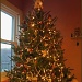 Christmas Tree by hjbenson