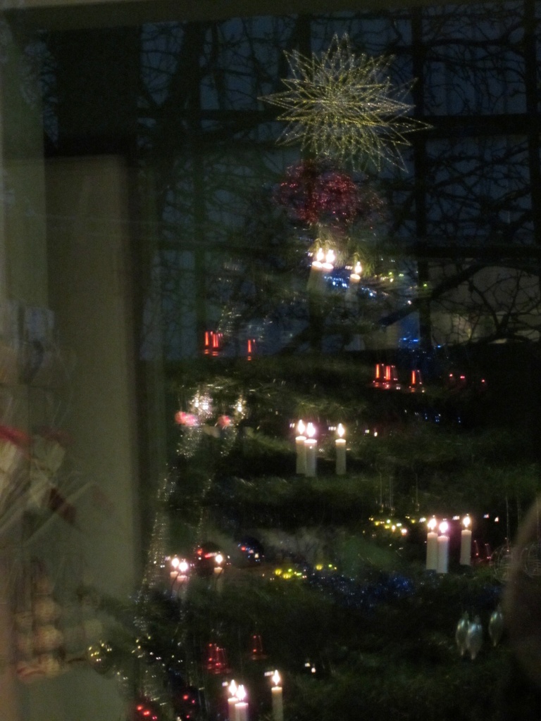 Xmas tree reflection IMG_1774 by annelis