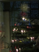 25th Dec 2011 - Xmas tree reflection IMG_1774