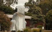 26th Dec 2011 - The Big Koala - Phillip Island - yes, I found more big things and on familiar ground