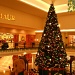 O Christmas Tree by kchuk