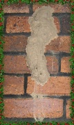 27th Dec 2011 - Mud Wasp Nest