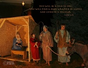 24th Dec 2011 - Live Nativity. 358_07_2011