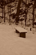 22nd Dec 2011 - Lonely bench