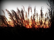 27th Dec 2011 - The Sun Sets On Another Christmas