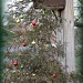 bird's Christmas decor by mjmaven