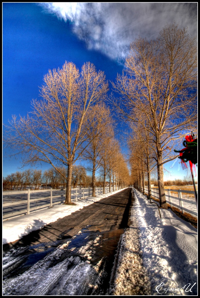 Wintery Driveway by exposure4u