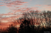 27th Dec 2011 - Sunrise
