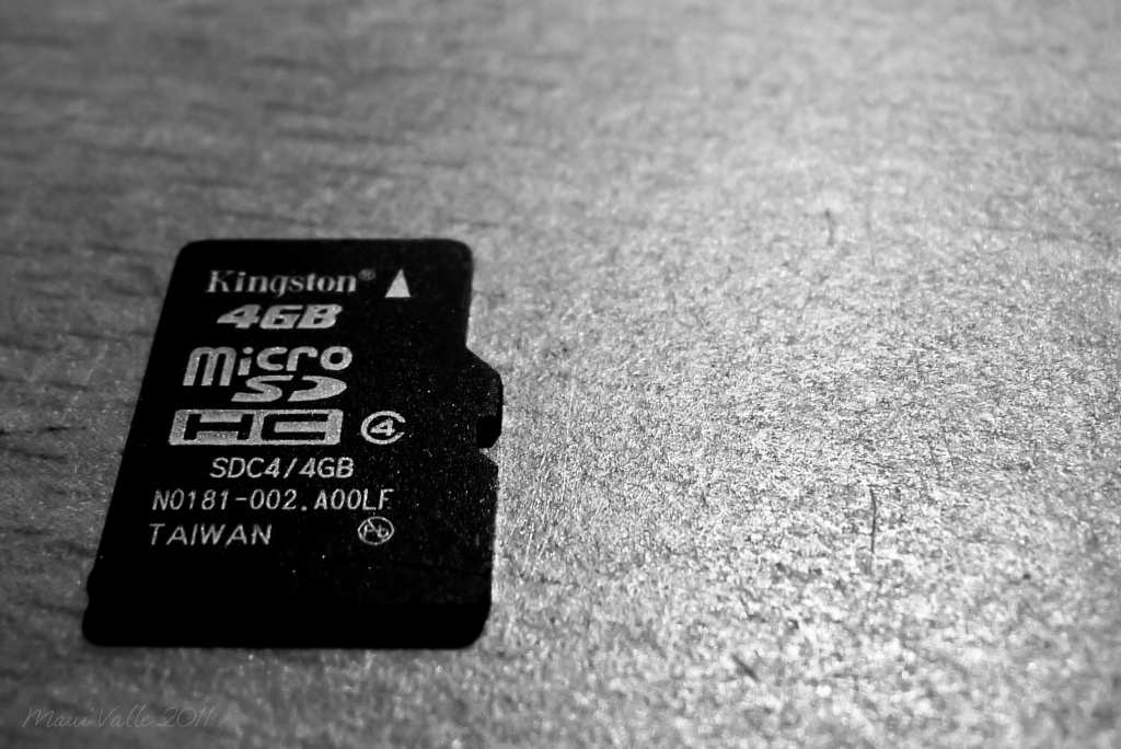 Micro SD by mauirev