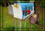 28th Dec 2011 - The Mailbox Family