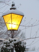 22nd Dec 2011 - Mars Avenue Lamp -Color
