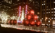 20th Dec 2011 - new york