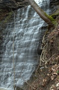 28th Dec 2011 - Upper Swayze Falls