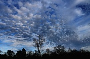 28th Dec 2011 - Blue clouds