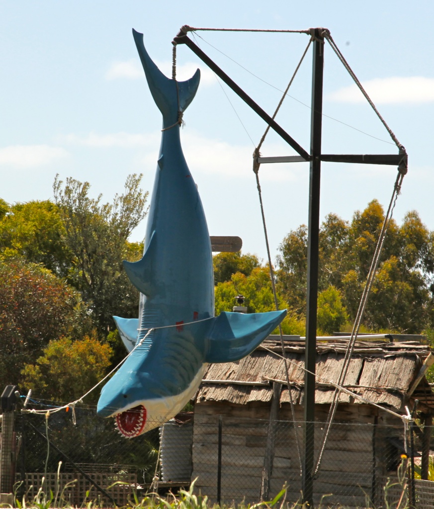 Another Big(biggish) thing - great white shark at pirate Mini Golf at Maru Koala and Wildlife Park by lbmcshutter