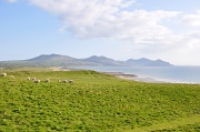 16th May 2010 - Dinas Dinlle