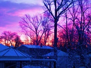 29th Dec 2011 - Sunrise