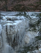 29th Dec 2011 - Terrace Creek Falls