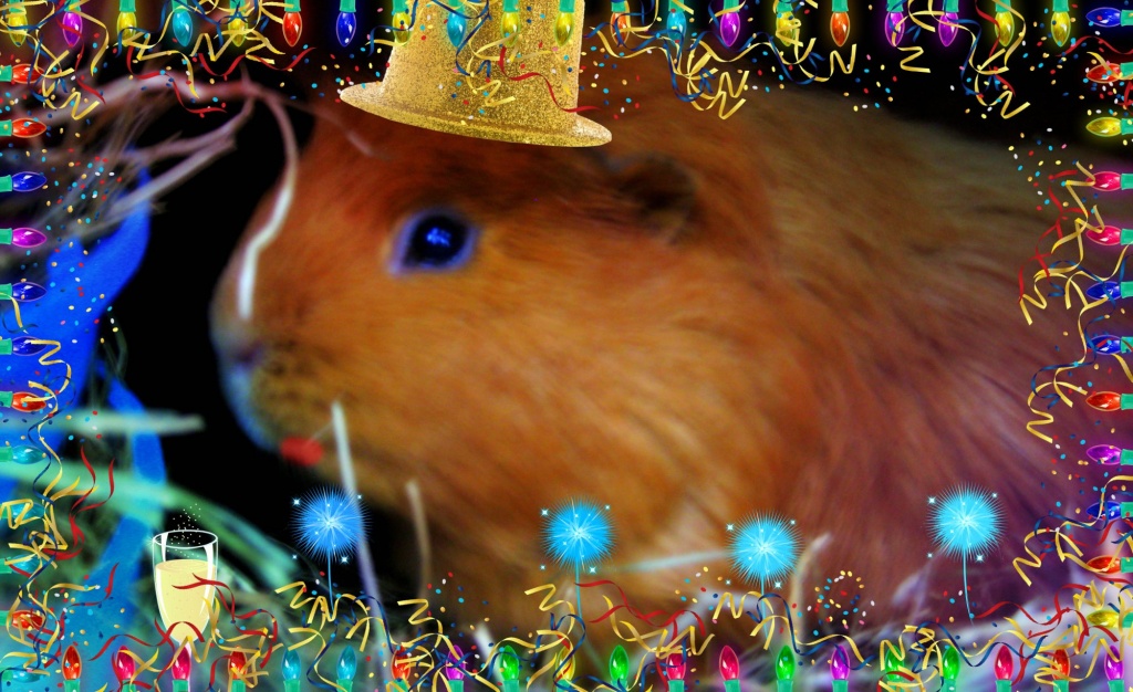 "Ginger the Party Pig" or "While the Cat's Away"  31.12.11 by filsie65