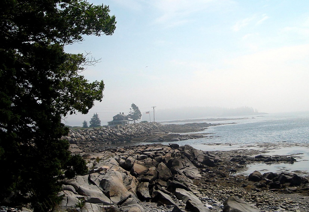 Maine's Misty Shoreline  by stownsend