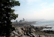 17th May 2010 - Maine's Misty Shoreline 