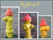 31st Dec 2011 - Meet The Hydrant Family