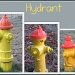 Meet The Hydrant Family by grammyn