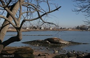 1st Jan 2012 - Scenic Shoreline