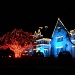Wider shot of lighted mansion by mittens