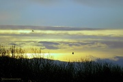 1st Jan 2012 - A New Year is Dawning