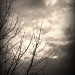 Cloudy, But.... by digitalrn