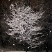 NYE Snow by dakotakid35