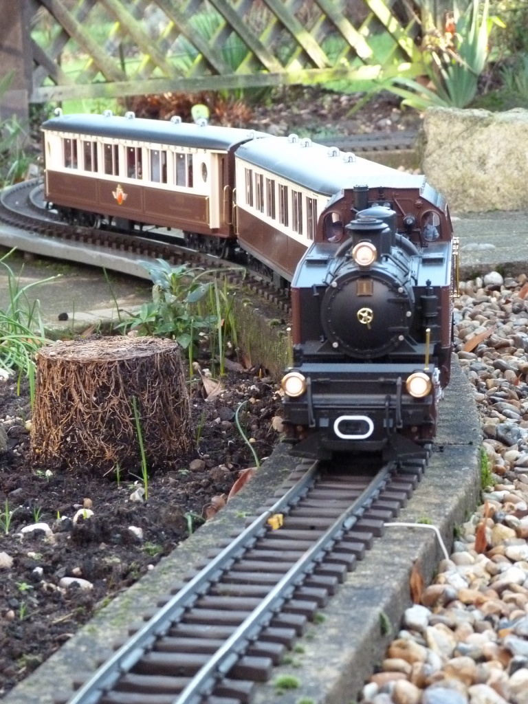 Miniature train by calx