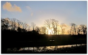 2nd Jan 2012 - Late afternoon sun.