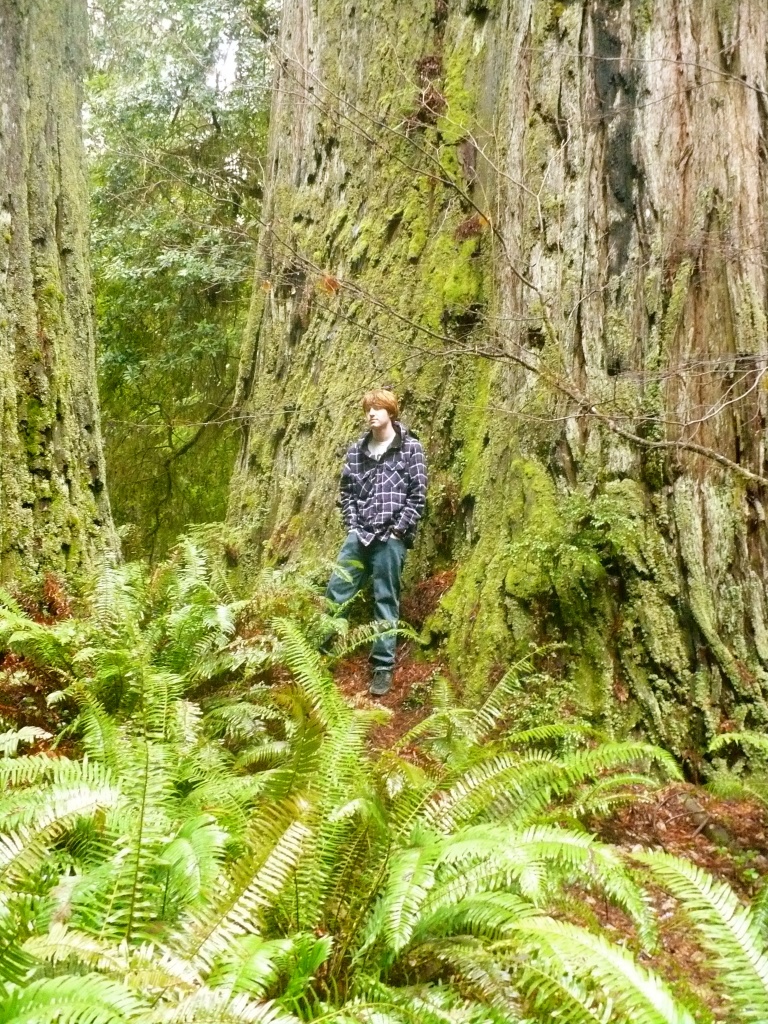 Youngest son in Redwoods by pandorasecho