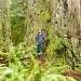 Youngest son in Redwoods by pandorasecho