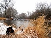 2nd Jan 2012 - Bears in Wisconsin