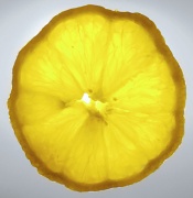 2nd Jan 2012 - Just a bit of Lemon