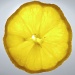 Just a bit of Lemon by filsie65