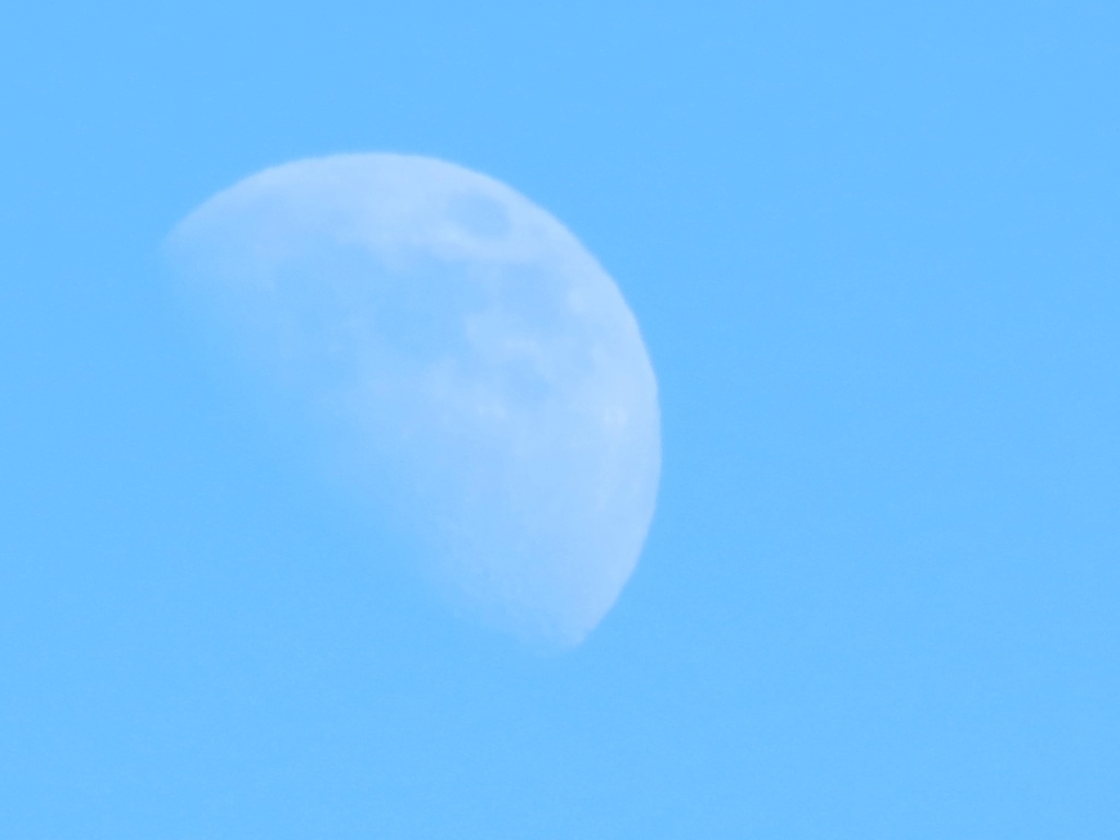 Blue Moon by grammyn