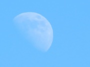2nd Jan 2012 - Blue Moon