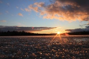 2nd Jan 2012 - Ice
