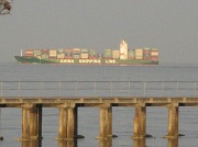 3rd Jan 2012 - Ship from China Shipping Line Passes Dromana