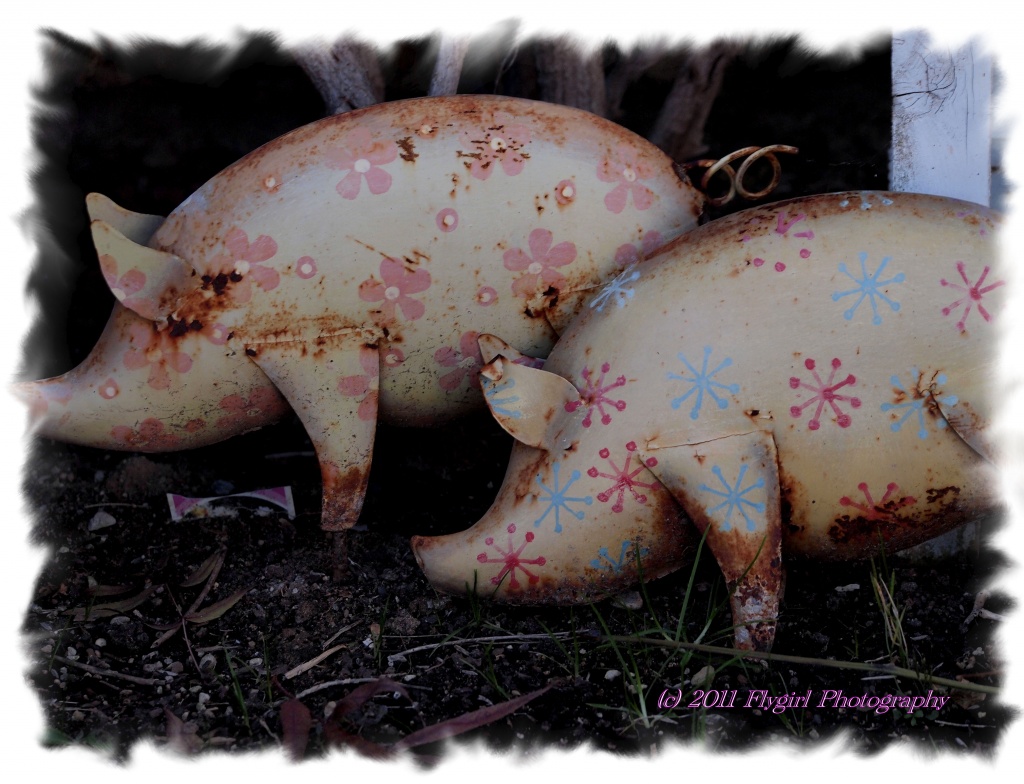 Two Little Pigs by flygirl