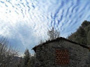 3rd Jan 2012 - A winter sky