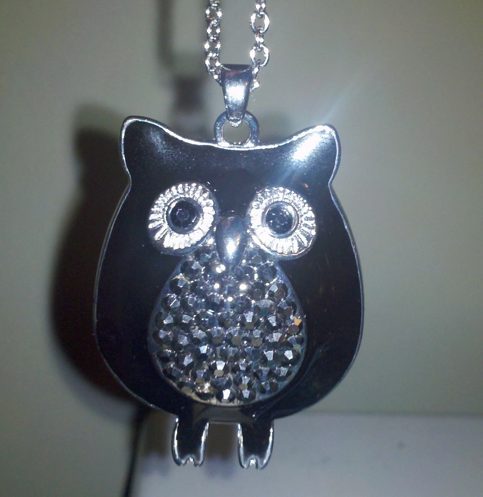 Owl Necklace by ellesfena