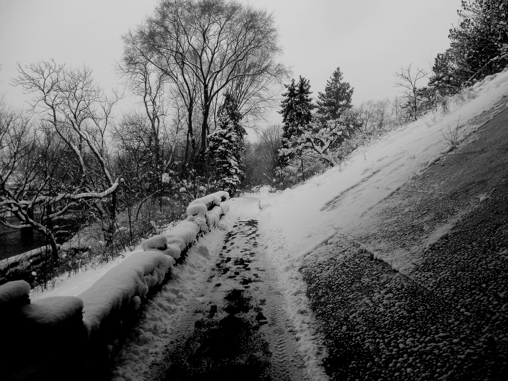 Dust of Snow by yentlski