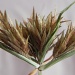 Wild Grass Seed by salza