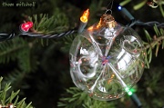 22nd Dec 2011 - Tree ornament